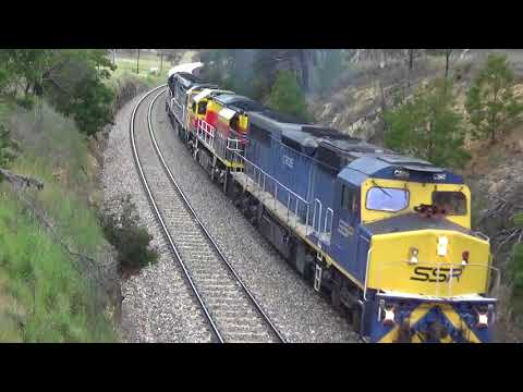 C505 BRM001 C509 C510=4343 Cooks Cut 15 11 17