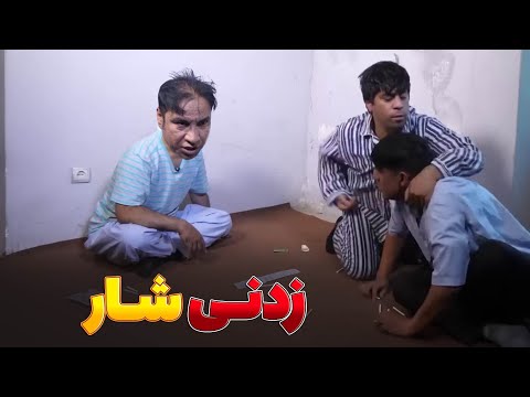 جنگ قمار باز ها بالا چرس - بهترین های شبکه خنده