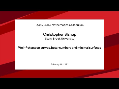 Weil-Petersson curves, beta-numbers and minimal surfaces - Christopher Bishop