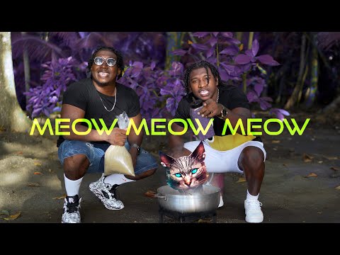 Suh Raw & Rawsheid  - Eating Cat (Meow Meow Meow) Official Music Video | Vincy Soca 2024