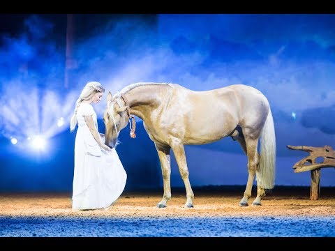 "Gefährten des Lichts" – Hauptrolle Alana – 2017/2018