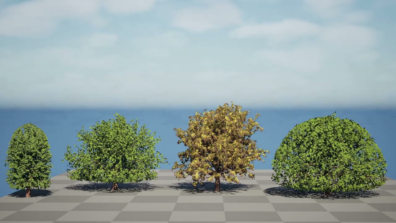 Moroccan Quercus Canariensis Pack 3D Model