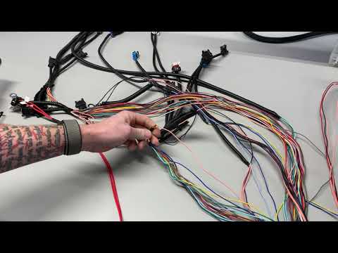 Cross Link TXL Wire VS Primary Wire