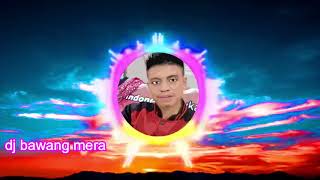 Download lagu dj rica tomat mp3