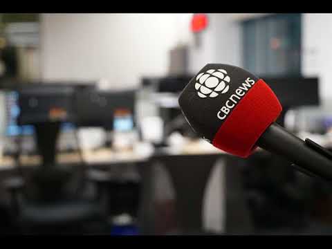 Meet the guy who trolls phone scammers until they ask him to stop calling | CBC News