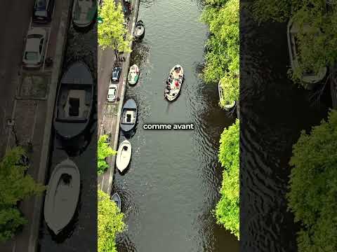 Pourquoi ces voitures finissent dans l’eau ?