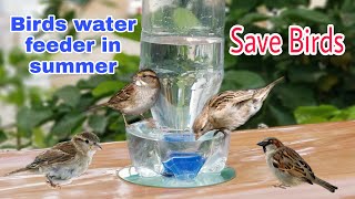 Birds water feeder ||How to make bird water feeder || Telugu experiments || Mr.Crazy Vamshi