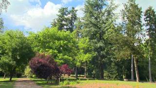 preview picture of video 'Jardin de Normandie : Arboretum d'Harcourt (parc et jardin)'