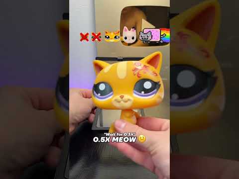 Nyan Cat Evolution! 🤩😂