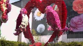 ahora tengo tiempo el gigante de america