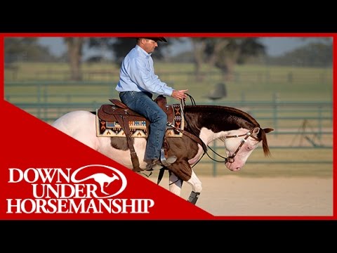 Clinton Anderson Presents: Titan a Legend in the Making, Lesson 4, Part 2 - Downunder Horsemanship