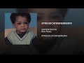 XXXTENTACION Proud Cat Owner Audio Remix Rico Nasty