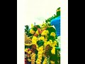 Dheeran Chinnamalai Whatsapp Status In Tamil Dheeran Kongu Tamil