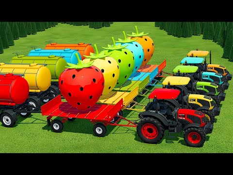 TRANSPORT GIANT STRAWBERRY, MINI LAVENDER BALES AND BEACH BALLS WITH FIAT TRACTORS - FS 22