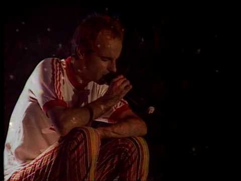 Els Pets - Vespre (Directe)