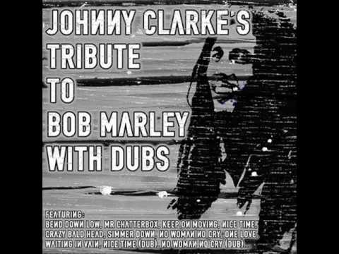 I Am Still Waiting lyrics