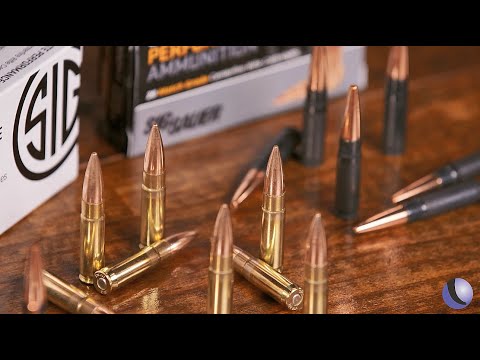 Sig Sauer Sub-Sonic and Super-Sonic .300 BLK Ammo | Guns \u0026 Gear S11