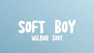 Cover art for Soft Boy