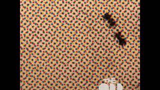 Odd Couple - "Nightcrawl"