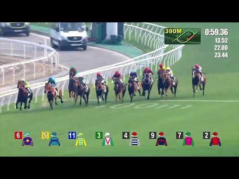 11/9/2022 (9) Good Luck Friend - V Borges