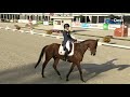 Tim Lips blijft leider Military Boekelo na tweede dag dressuur