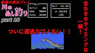 【実況プレイ】川のぬし釣り part 10【刹那の見切りじゃないんだぜ】