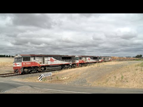 SCT 1PM9 Freight Train At Level Crossing (30/12/2020) - PoathTV Australian Railways