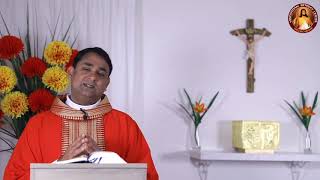 Download Lagu Daily Holy Mass and Holy Rosary - Monday 14th September 2020- Fr Rojan George, V.C Thumbnail
