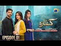 Kaffara Episode 01 Ali Ansari Laiba Khan Zoya Nasir Drama Bazaar कफारा