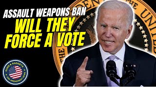 No Vote on Assault Weapons Ban or Enhanced Background Checks