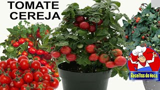 Miniatura do vídeo