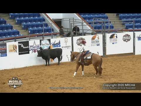 Skeets Oak Peppy ridden by Chelsea R. Edsall  - 2020 Celebration of Champions ($5K NP Ltd., FINALS)