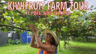 Kiwifruit Orchard Tour | Shore Excursion | 11-Day Australia to New Zealand Norwegian Cruise