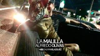 La Malilla - Alfredo Olivas (2017)