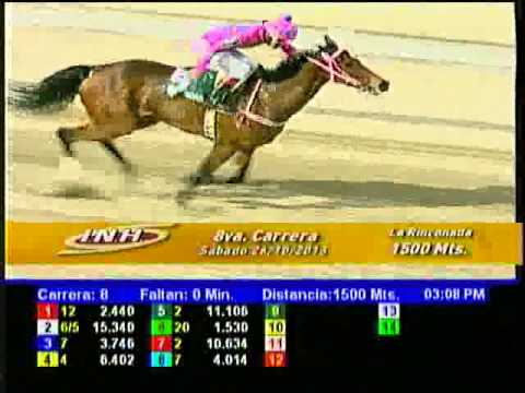 Resumen Sábado, 26 de Octubre de 2013 - La Rinconada