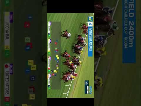 WITHOUT A FIGHT - Caulfield Cup 2023(G1) Group 1 Caulfield 21 October