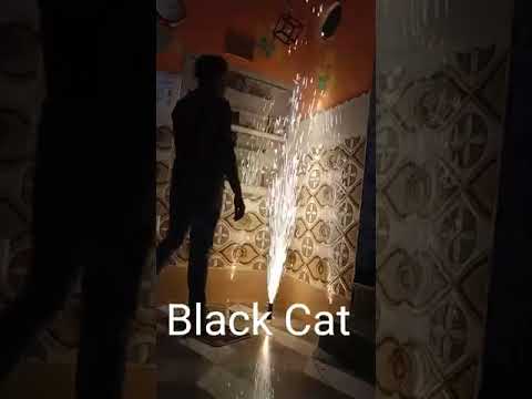 Black Cat Cold Pyro