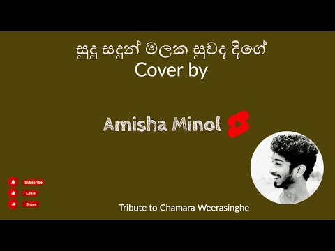 සුදු සදුන් මලක සුවද දිගේ | Cover by| Amisha Minol