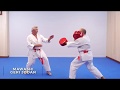Karaté L épreuve Du Kihon Du 1er Au 3e Dan