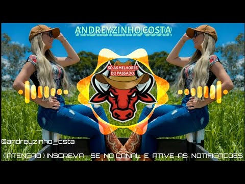 AS MELHORES MODAS SERTANEJAS - EDIÇÃO ESPECIAL 2025 ((ANDREYZINHO COSTA))