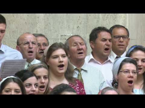 Ce mare Har-Cor Elim Timisoara