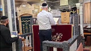 משה חבושה.קדושה (ניגון אורדו מורזה)