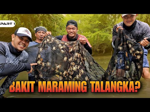 P1-BAKIT BUMABA ANG MGA TALANGKA - EP1102