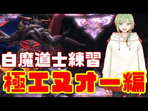 ManaDC【FF14】白魔道士を使えるようにするための極エヌオー