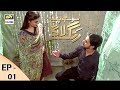 Mohay Piya Rang Laaga - Episode 1 - ARY Digital Drama