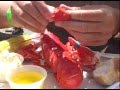 Maine Lobster Festival's video thumbnail