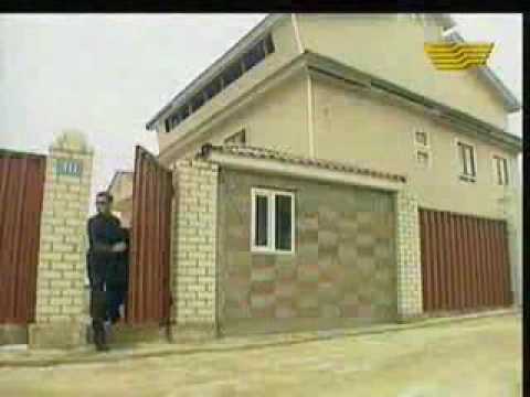 ~ F R E E S T Y L O ~