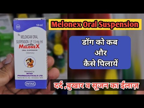 Syrup intas melonex (meloxicam)