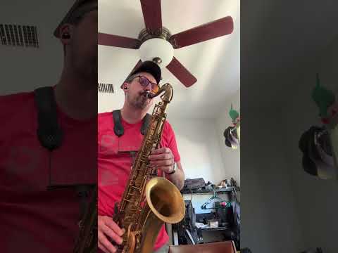 Great Playing H Couf Superba I (matching neck) image 10
