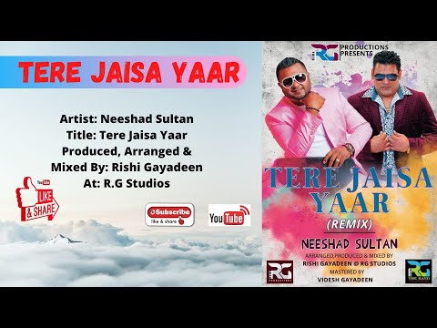 Neeshad Sultan - Tere Jaisa Yaar remix